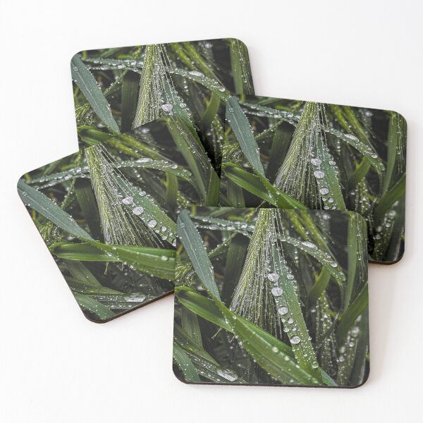 Item preview, Close-up view of green grass blades with raindrops designed and sold by PavlinaBFDesign.