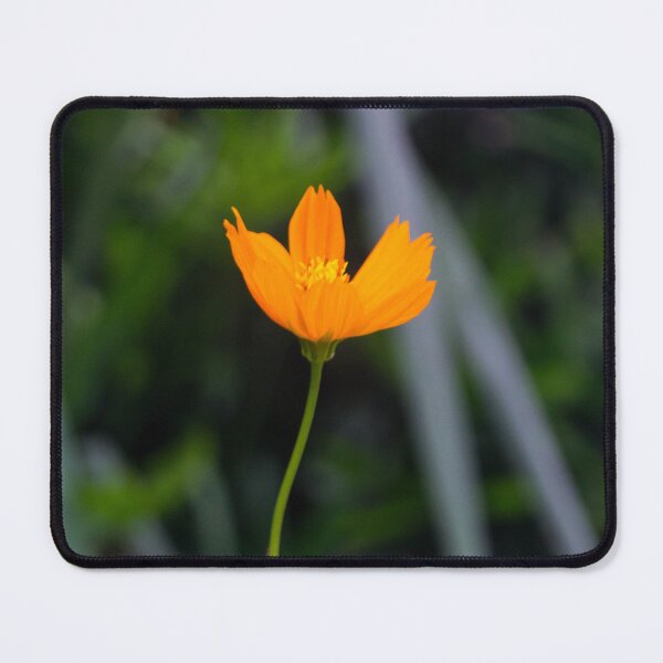 Item preview, Sulfur Cosmos 04 designed and sold by ROSE ANN BANILAR.