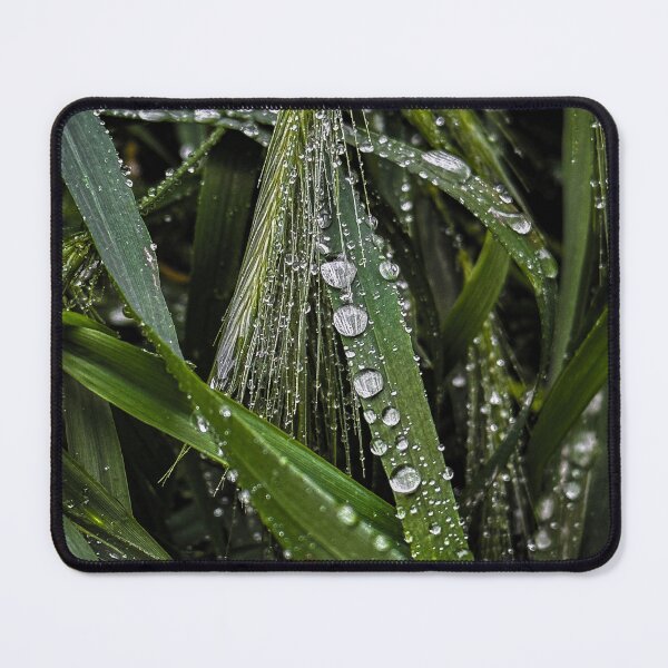 Item preview, Close-up view of green grass blades with raindrops designed and sold by PavlinaBFDesign.