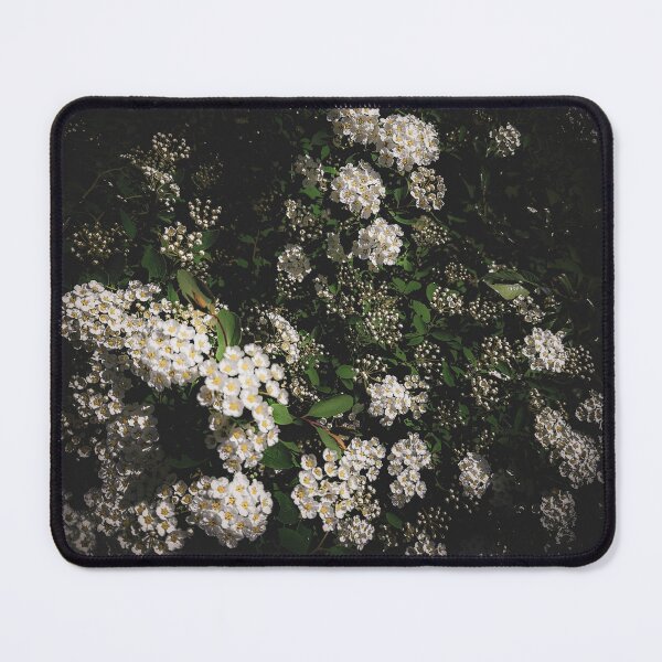 Item preview, Bush with white blooming flowers emerging from the darkness designed and sold by PavlinaBFDesign.