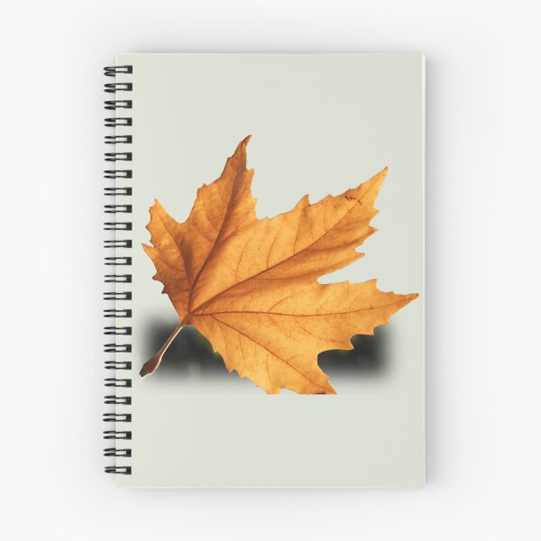 Item preview, Autumn leaves designed and sold by indiafrankk.
