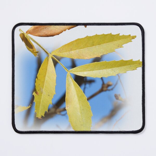 Item preview, Leaves in autumn designed and sold by indiafrankk.