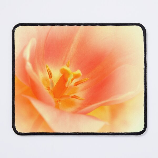 Item preview, Soft pink tulip designed and sold by Kacharava.
