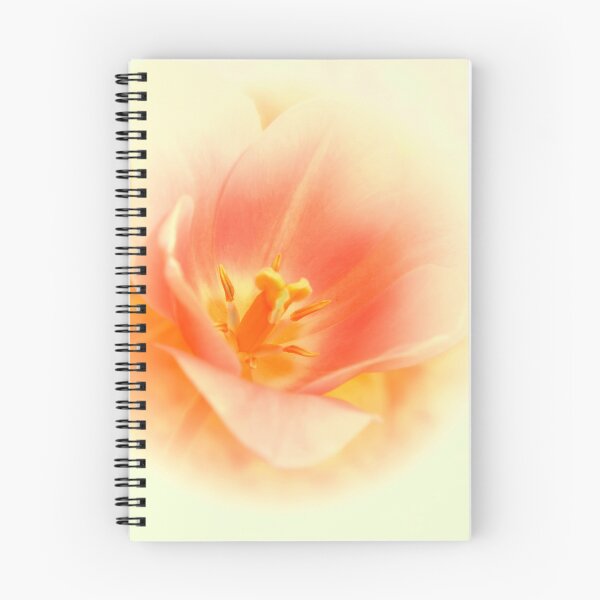 Item preview, Soft pink tulip designed and sold by Kacharava.