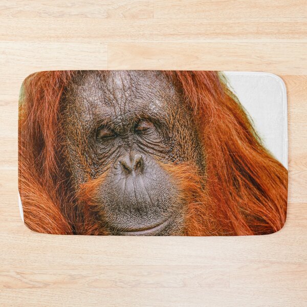 Item preview,  Orangutan me sleeping No not me! designed and sold by Dalyndigital Photography.