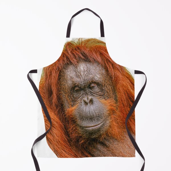 Item preview,  Orangutan me sleeping No not me! designed and sold by Dalyndigital Photography.