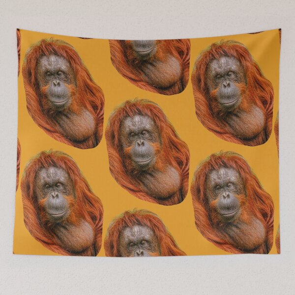 Item preview,  Orangutan me sleeping No not me! designed and sold by Dalyndigital Photography.