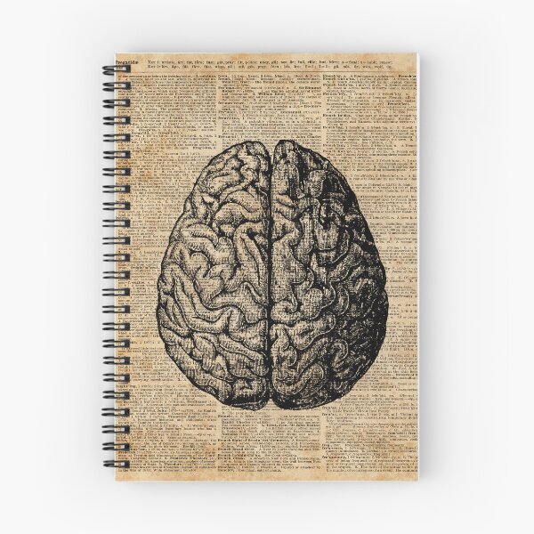 Item preview, Vintage Human Anatomy Brain Illustration Dictionary Book Page Art designed and sold by DictionaryArt.