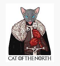 Cat of the North Photographic Print