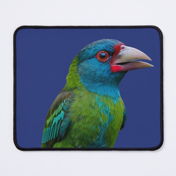 Item preview, Blue Eared Barbet of India designed and sold by laguitan10.