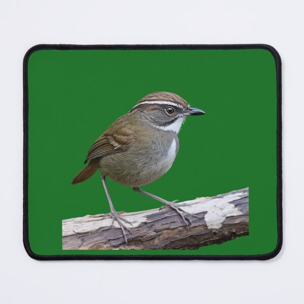 Item preview, Rufous Scrub Bird of Australia designed and sold by laguitan10.