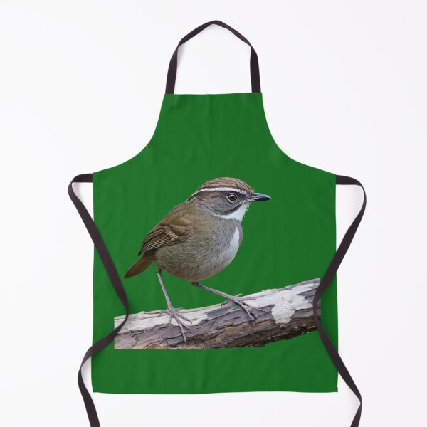 Item preview, Rufous Scrub Bird of Australia designed and sold by laguitan10.
