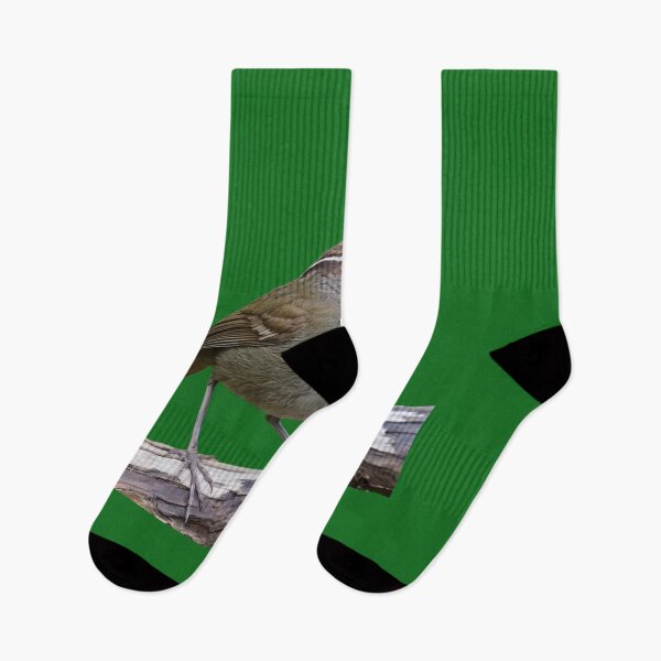 Item preview, Rufous Scrub Bird of Australia designed and sold by laguitan10.