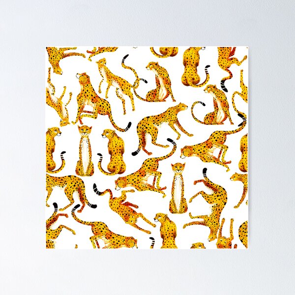 Cheetahs seconde version Poster