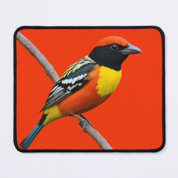 Item preview, Black Orange Tanager on a Branch designed and sold by laguitan10.