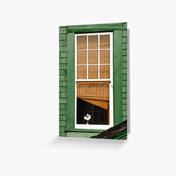 Item preview, Cat in the window designed and sold by MaluC.