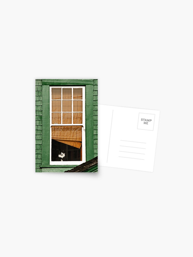 Thumbnail 1 of 2, Postcard, Cat in the window designed and sold by MaluC.