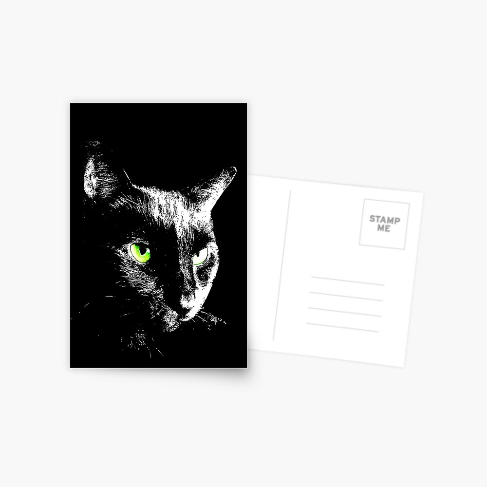 Black Cat 4 - Card Postcard