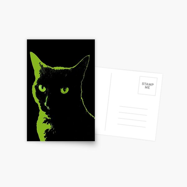 Black Cat 5 - Card Postcard