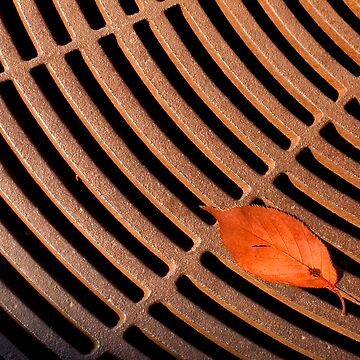 Artwork thumbnail, Leaf by MaluC