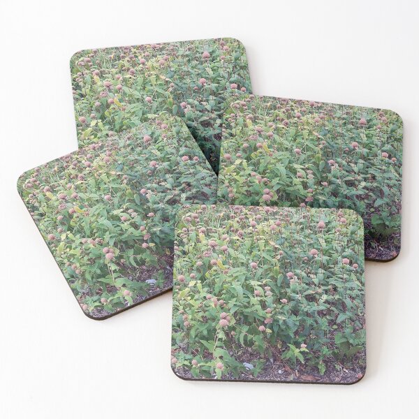 Item preview, Bushes 1 designed and sold by Spaghetti13.