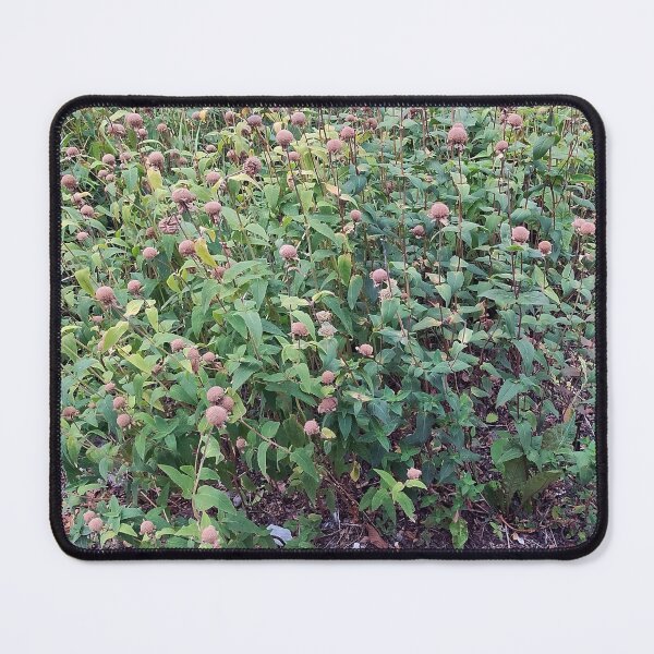 Item preview, Bushes 1 designed and sold by Spaghetti13.