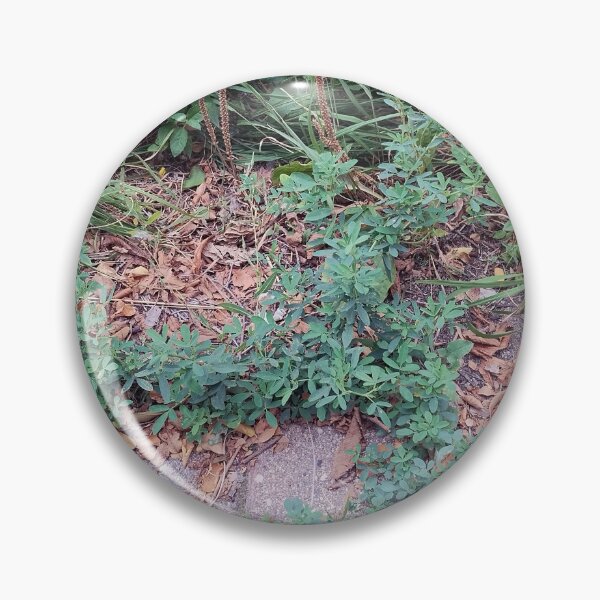 Item preview, Creeping Plant in Cobblestone designed and sold by Spaghetti13.
