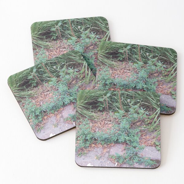 Item preview, Creeping Plant in Cobblestone designed and sold by Spaghetti13.