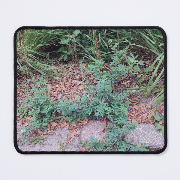 Item preview, Creeping Plant in Cobblestone designed and sold by Spaghetti13.
