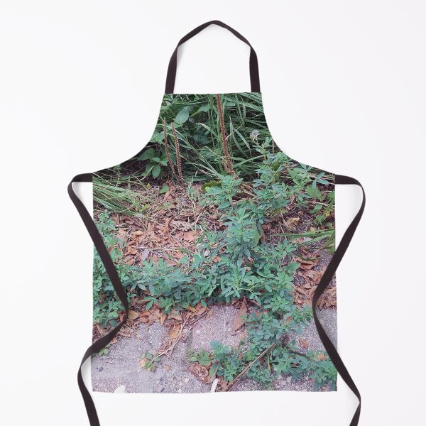 Item preview, Creeping Plant in Cobblestone designed and sold by Spaghetti13.