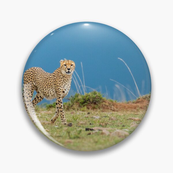 Item preview, cheetah designed and sold by kjewikarn.
