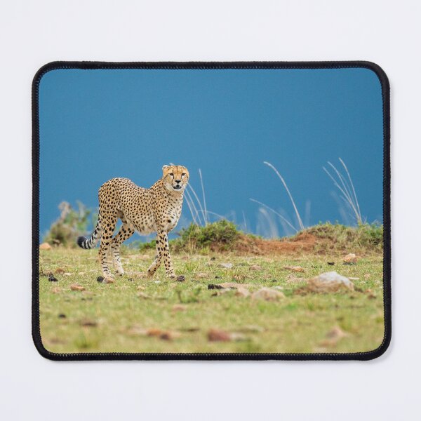 Item preview, cheetah designed and sold by kjewikarn.