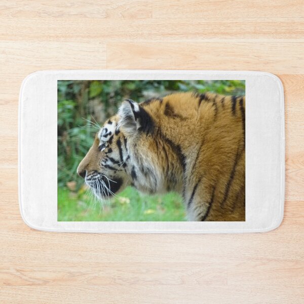 Item preview, Tiger at Longleat designed and sold by OBeauchampPhoto.