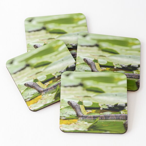 Item preview, Water snake on lily pads designed and sold by KRFNatureGifts.