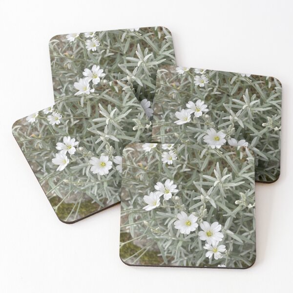 Item preview, white flowers designed and sold by SnappedbyRivka.