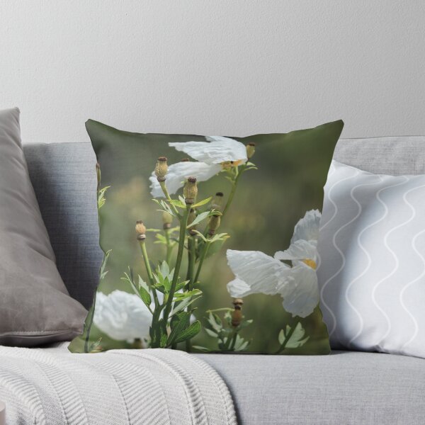 Item preview, Coulter's Matilija Poppy at Madrona Marsh designed and sold by Scenic West - Photos by Angel.