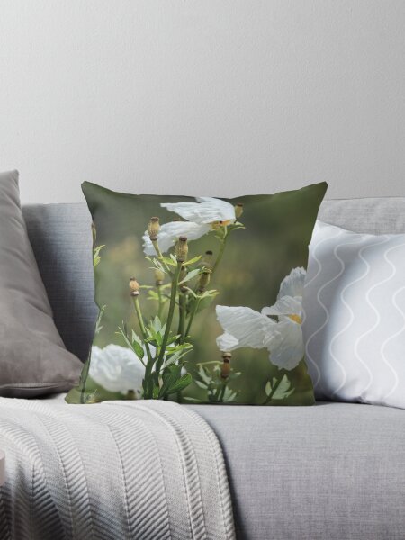Item preview, Coulter's Matilija Poppy at Madrona Marsh designed and sold by Scenic West - Photos by Angel.