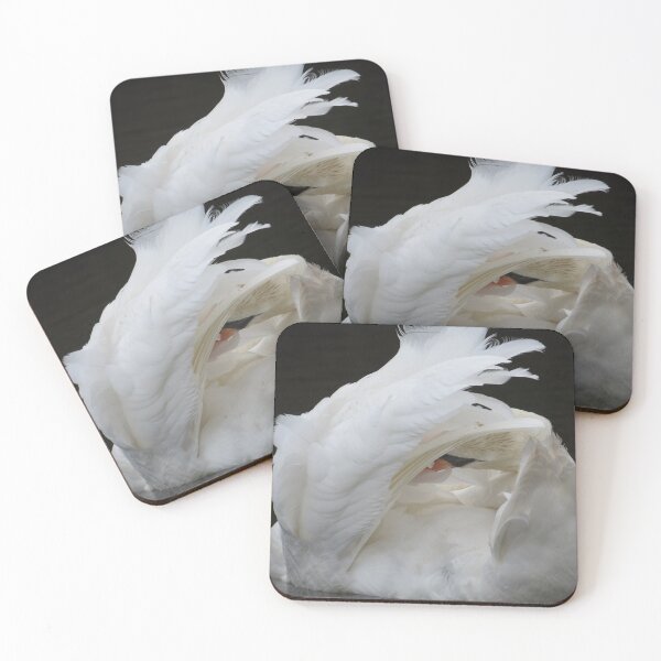 Item preview, Swan Perfection designed and sold by BsPhotographs.