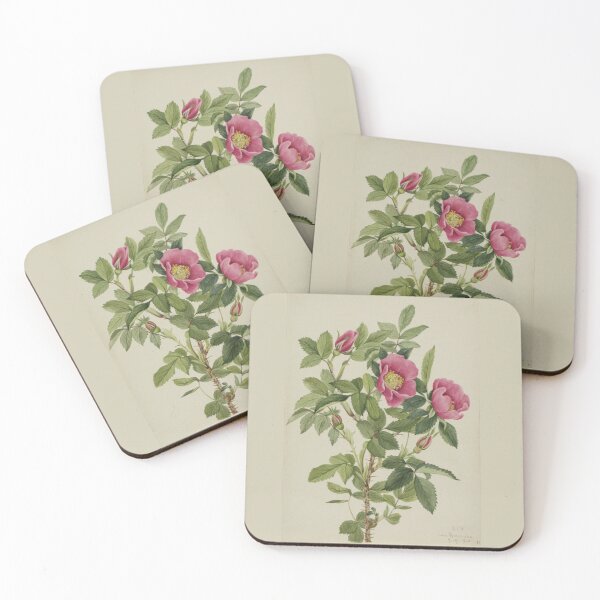 Item preview, Boutgeau Rose,1920. Mary Vaux designed and sold by MarigoldandLily.