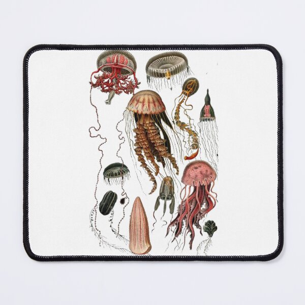 Item preview, Order Medusozoa designed and sold by PatronesKawai.