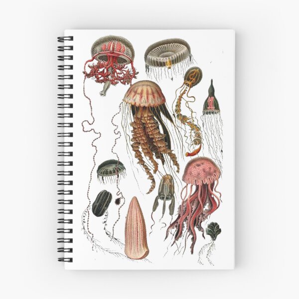 Item preview, Order Medusozoa designed and sold by PatronesKawai.