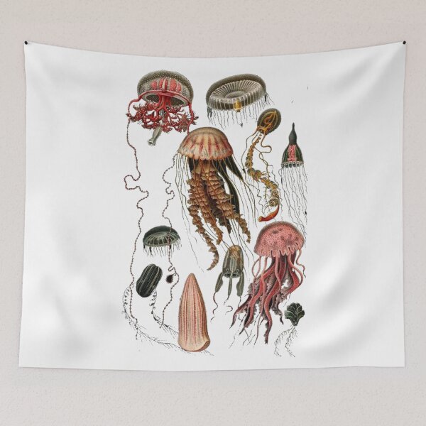 Item preview, Order Medusozoa designed and sold by PatronesKawai.