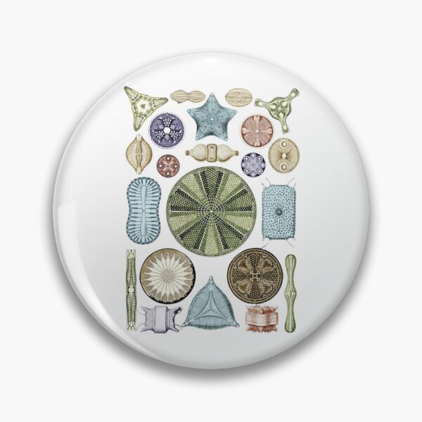 Item preview, Phylum Foraminifera designed and sold by PatronesKawai.