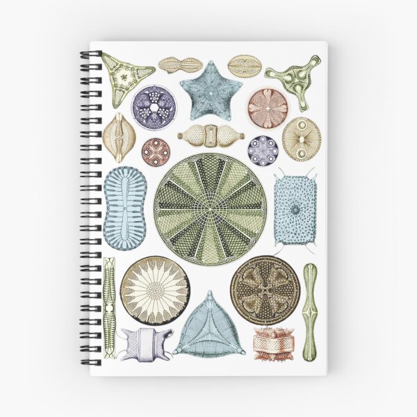 Item preview, Phylum Foraminifera designed and sold by PatronesKawai.