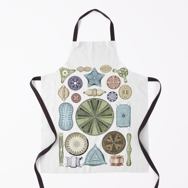 Item preview, Phylum Foraminifera designed and sold by PatronesKawai.