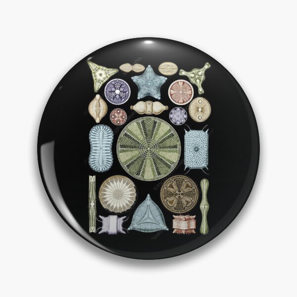 Item preview, Foraminifera phylum designed and sold by PatronesKawai.