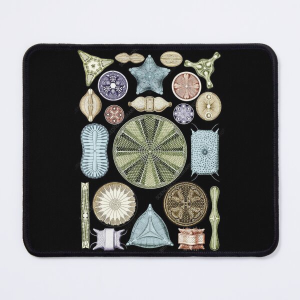 Item preview, Foraminifera phylum designed and sold by PatronesKawai.