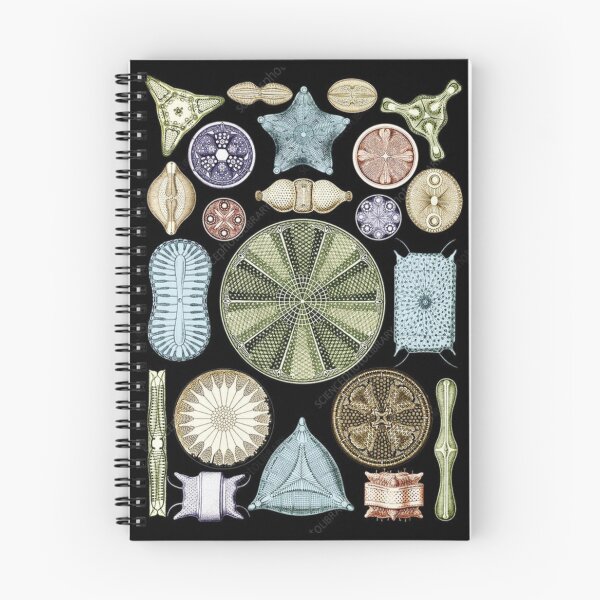 Item preview, Foraminifera phylum designed and sold by PatronesKawai.