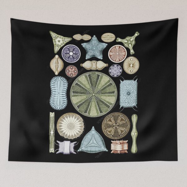Item preview, Foraminifera phylum designed and sold by PatronesKawai.
