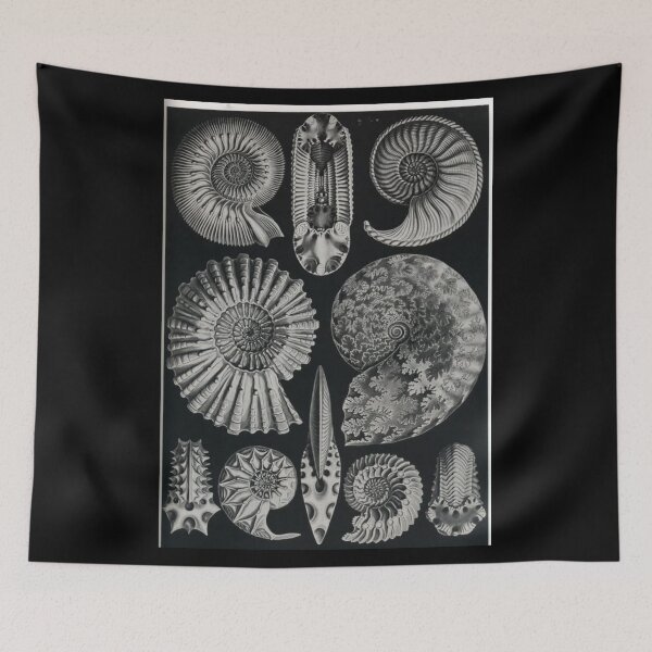 Item preview, Trilobites designed and sold by PatronesKawai.